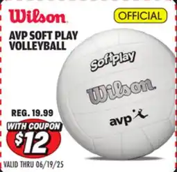 Big 5 Wilson AVP Soft Play Volleyball offer