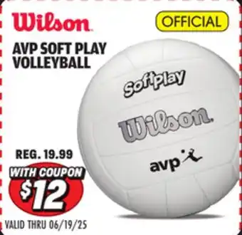 Big 5 Wilson AVP Soft Play Volleyball offer