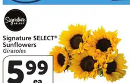 Vons Signature SELECT Sunflowers offer