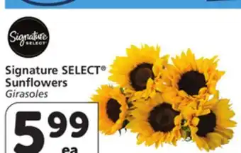 Vons Signature SELECT Sunflowers offer
