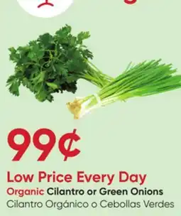 Stater Bros Organic Cilantro or Green Onions offer