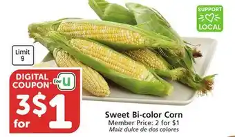 Albertsons Sweet Bi-color Corn offer