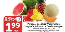 Albertsons Personal Seedless Watermelon, Large Cantaloupe or Gold Pineapple offer