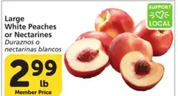 Albertsons Large White Peaches or Nectarines offer