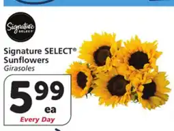 Albertsons Signature SELECT Sunflowers offer