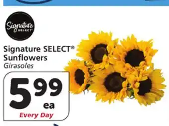 Albertsons Signature SELECT Sunflowers offer