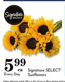 Pavilions Signature SELECT Sunflowers offer