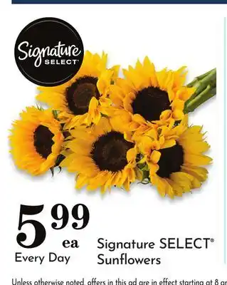Pavilions Signature SELECT Sunflowers offer
