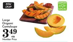 Pavilions Large Origami Cantaloupe offer