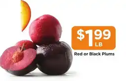 Food 4 Less Red or Black Plums offer