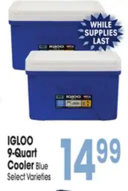 Jewel-Osco IGLOO 9-Quart Cooler Blue offer