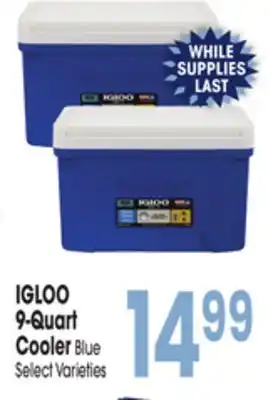 Jewel-Osco IGLOO 9-Quart Cooler Blue offer