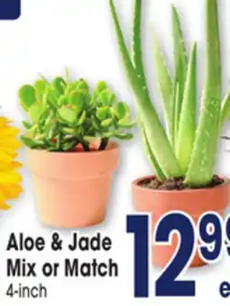 Jewel-Osco Aloe & Jade offer