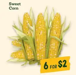 Sprouts Farmers Market Sweet Corn offer