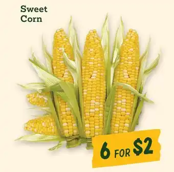 Sprouts Farmers Market Sweet Corn offer