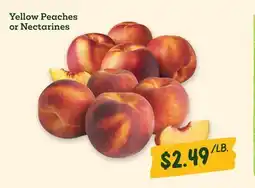Sprouts Farmers Market Yellow Peaches or Nectarines offer