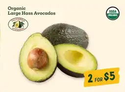 Sprouts Farmers Market Organic Large Hass Avocados offer