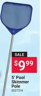 Ace Hardware 5' Pool Skimmer Pole offer