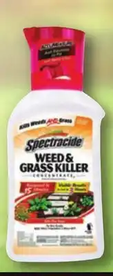 Ace Hardware Spectracide Weed & Grass Killer Concentrate, 32 Oz offer