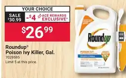 Ace Hardware Roundup Poison Ivy Killer, Gal offer