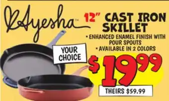 Ollie's 12 CAST IRON SKILLET offer