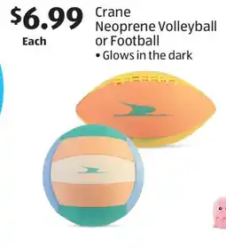 Aldi Crane Neoprene Volleyball or Football offer