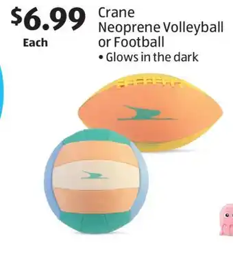 Aldi Crane Neoprene Volleyball or Football offer