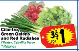 Superior Grocers Cilantro, Green Onions and Red Radishes offer