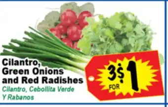 Superior Grocers Cilantro, Green Onions and Red Radishes offer