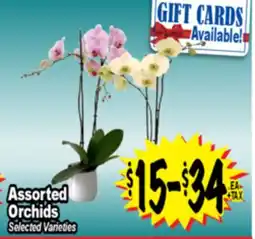 Superior Grocers Assorted Orchids offer