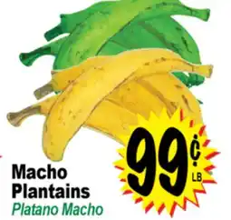 Superior Grocers Macho Plantains offer