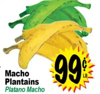 Superior Grocers Macho Plantains offer