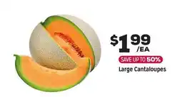 Grocery Outlet Large Cantaloupes offer