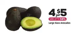 Grocery Outlet Large Hass Avocados offer