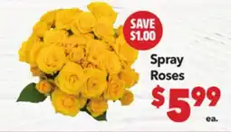 Vallarta Supermarkets Spray Roses offer