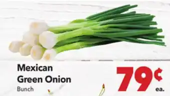Vallarta Supermarkets Mexican Green Onion offer