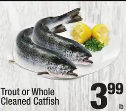 Super King Markets Trout or Whole Cleaned Catfish offer