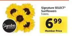 Safeway Signature SELECT Sunflowers offer