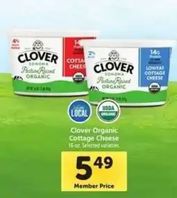 Safeway Clover Organic Cottage Cheese offer