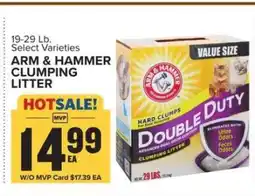 Food Lion Arm & Hammer Clumping Litter offer