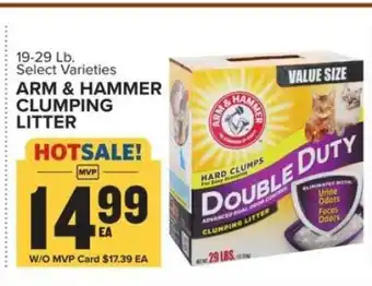 Food Lion Arm & Hammer Clumping Litter offer
