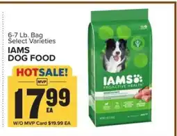 Food Lion Iams Dog Food offer
