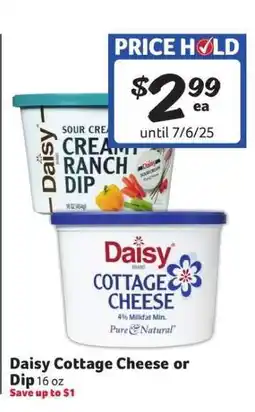 Winn Dixie Daisy Cottage Cheese or Dip offer