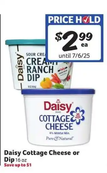 Winn Dixie Daisy Cottage Cheese or Dip offer