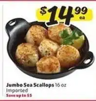 Winn Dixie Jumbo Sea Scallops offer