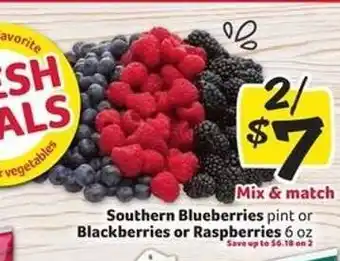 Winn Dixie Southern Blueberries, Blackberries or Raspberries offer