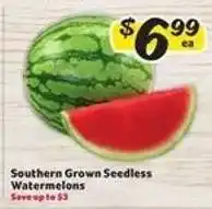 Winn Dixie Southern Grown Seedless Watermelons offer