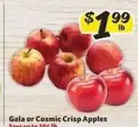 Winn Dixie Gala or Cosmic Crisp Apples offer