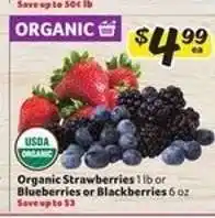 Winn Dixie Organic Strawberries or Blueberries or Blackberries offer
