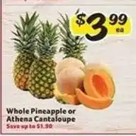 Winn Dixie Whole Pineapple or Athena Cantaloupe offer